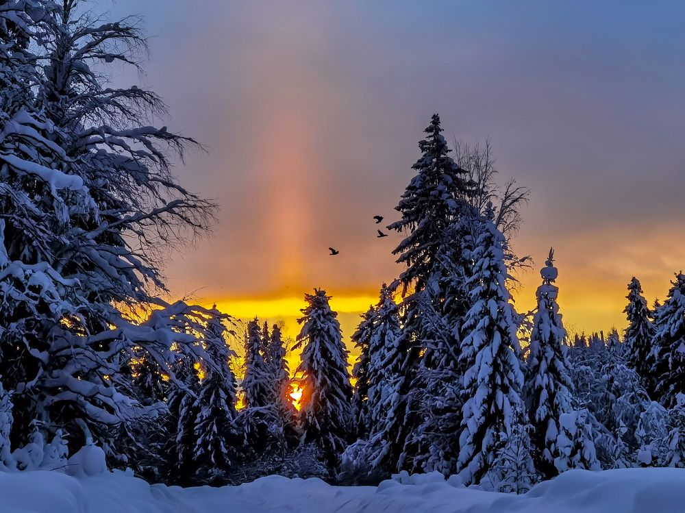 Photograph by Юлия