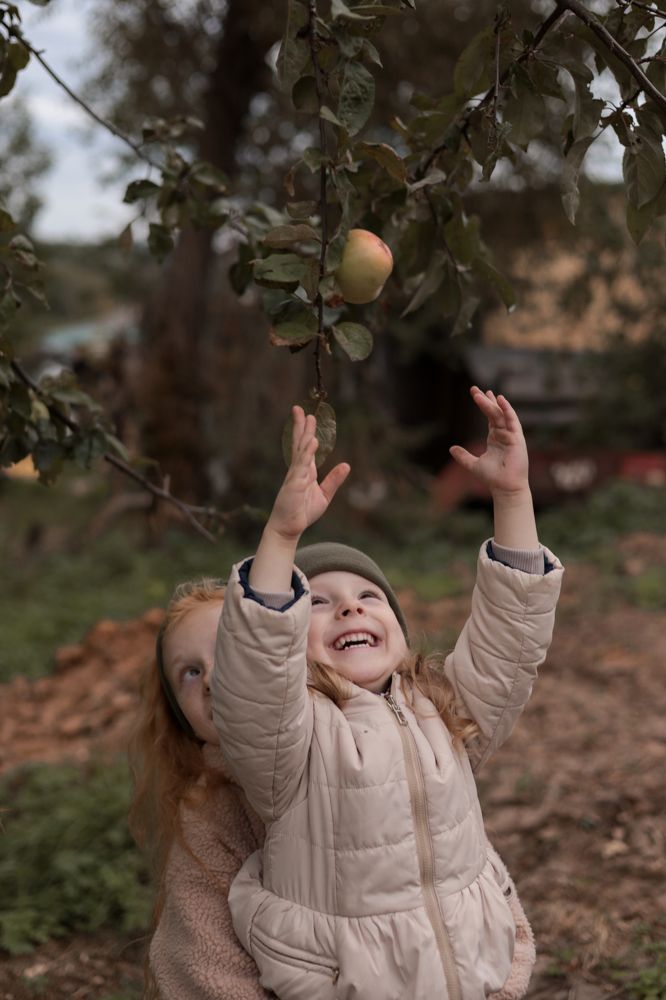 Фотография автора Антонова Екатерина