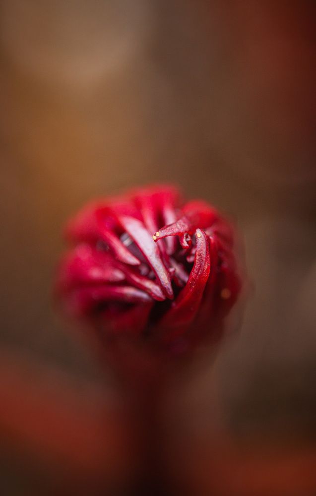 Photograph by Ольга Левакова