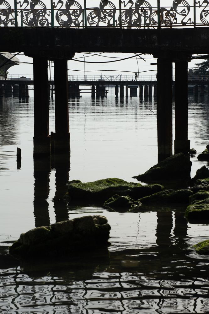 Фотография автора Naala Avidzba