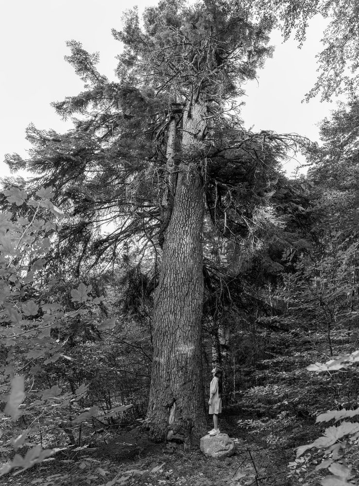 Photograph by Татьяна Войлокова