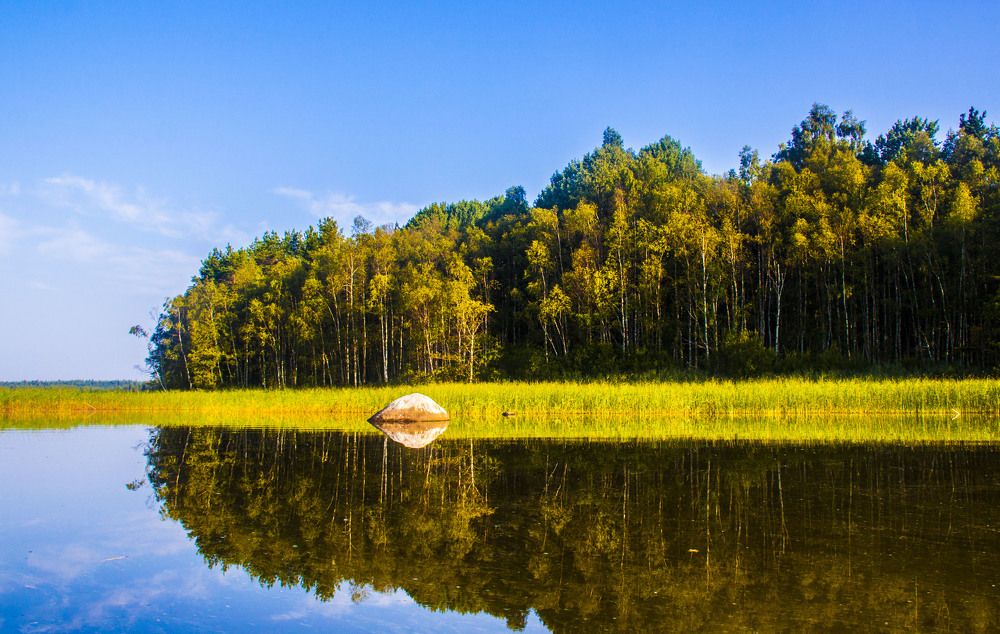 Photograph by Ольга Левакова