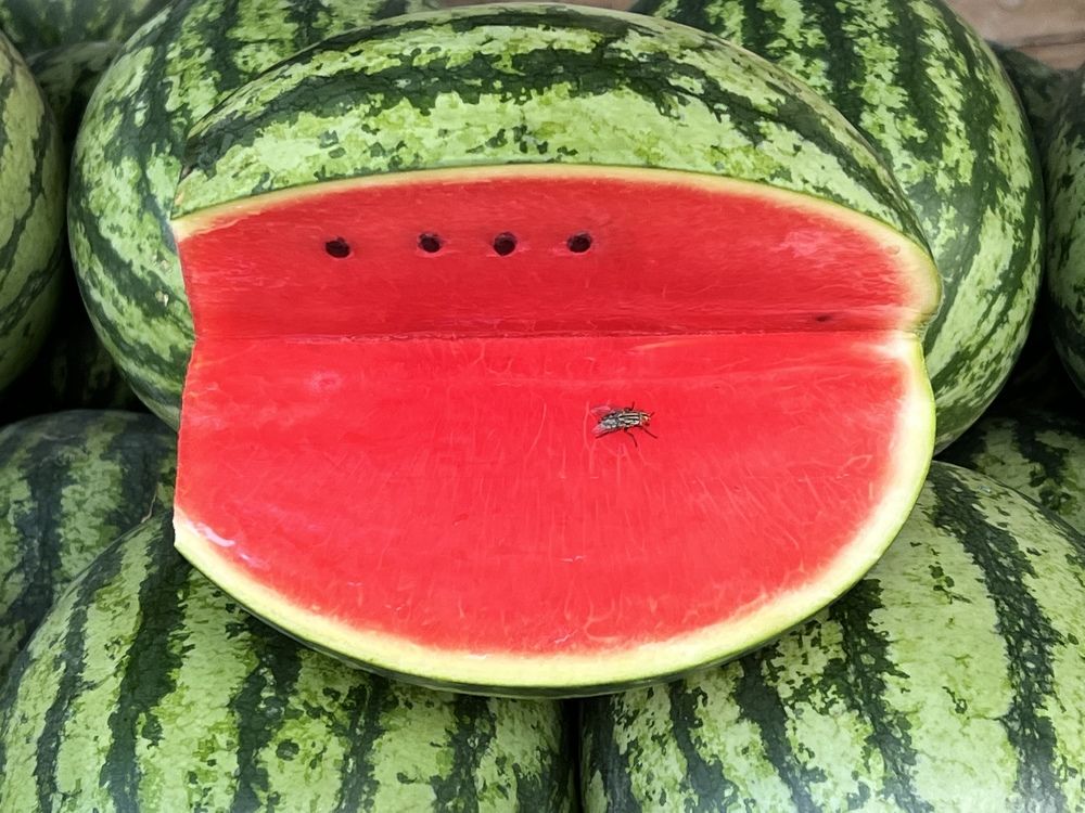 Photograph by Gil Kreslavsky