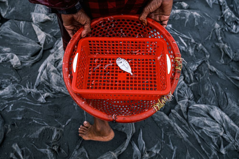 Photograph by Gil Kreslavsky