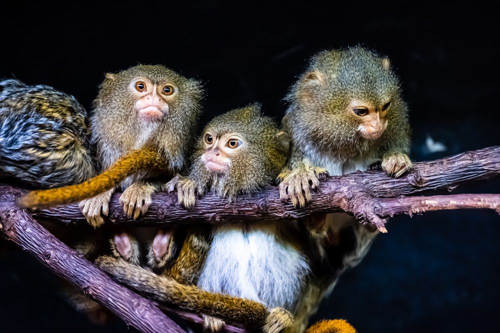 Photograph by Ivars Andrups