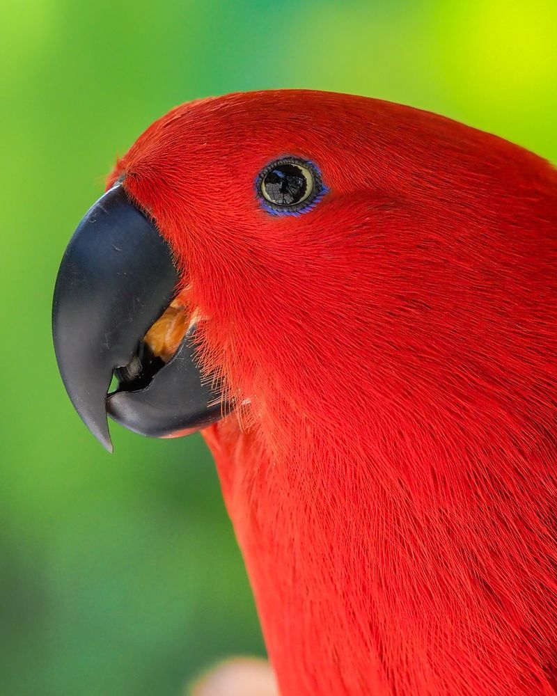 Photograph by Hardeep Solanki