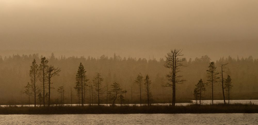 Силуэты Севера