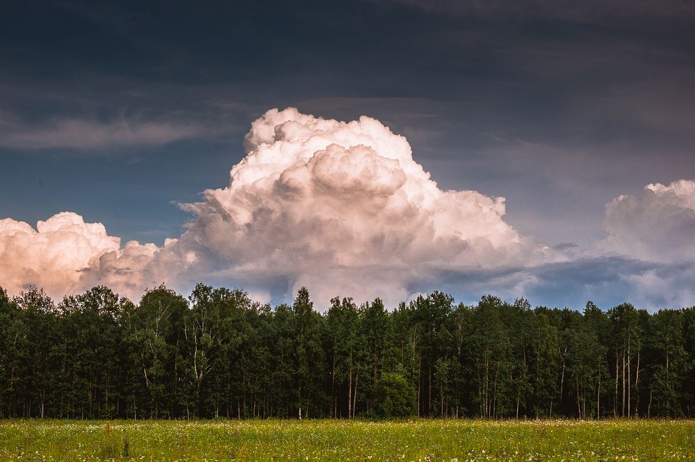 Photograph by Ирина Шерина