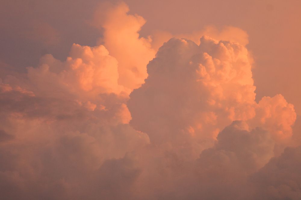 Фотография автора Татьяна Шебаршенко