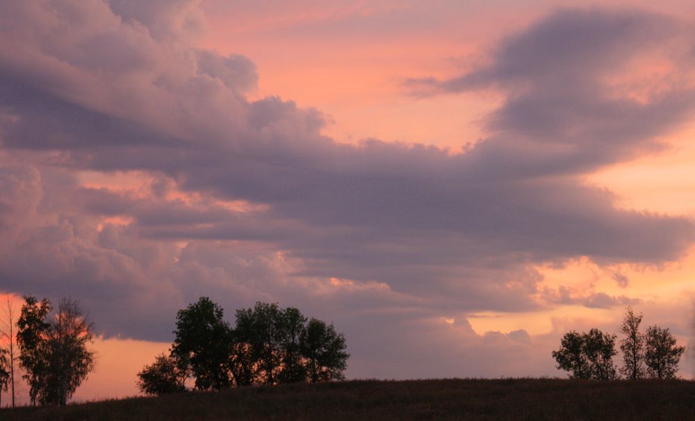 Фотография автора Татьяна Шебаршенко