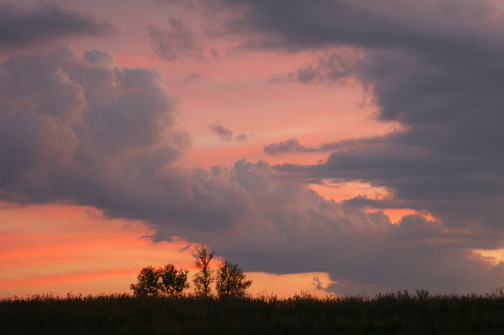 Фотография автора Татьяна Шебаршенко