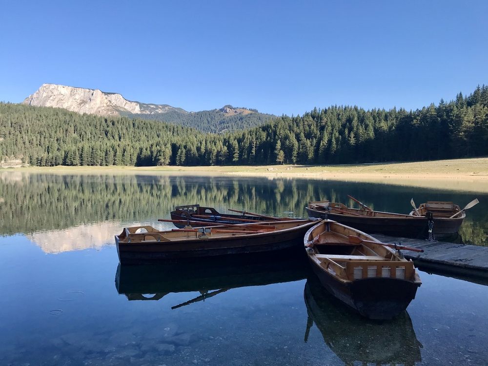 Photograph by Шестакова Наталья