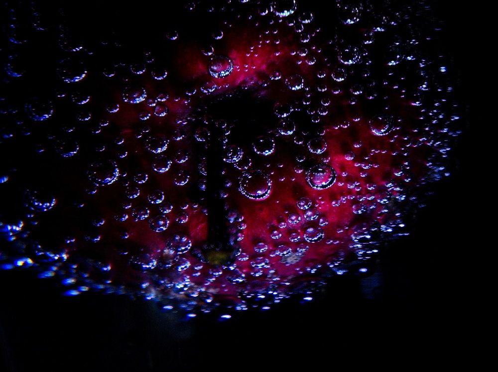 Photograph by Андрей Михайлин