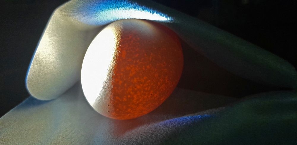 Egg and light