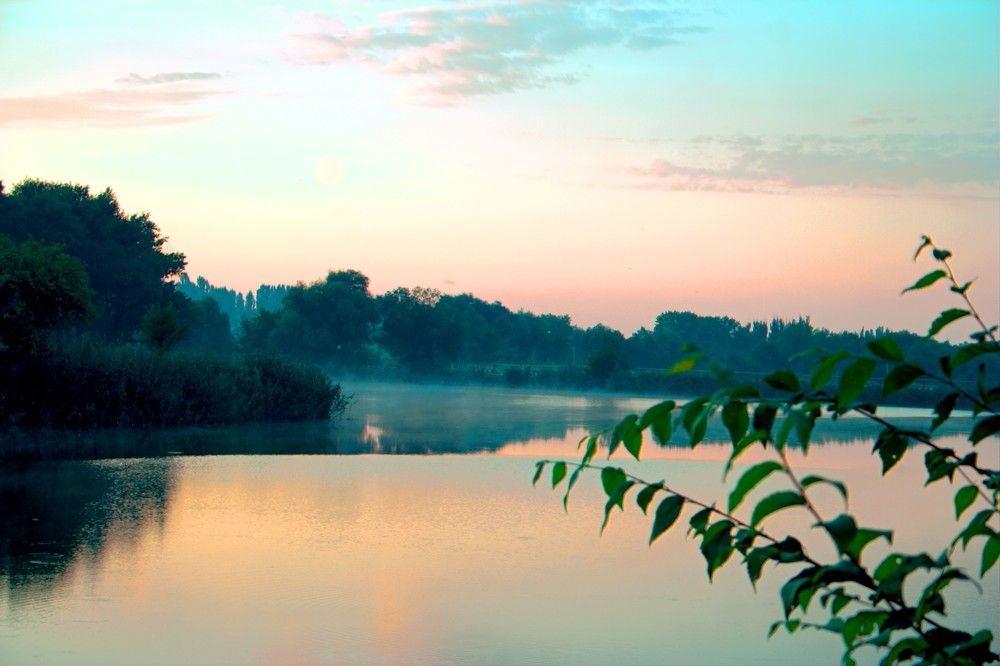 Photograph by Maks315519