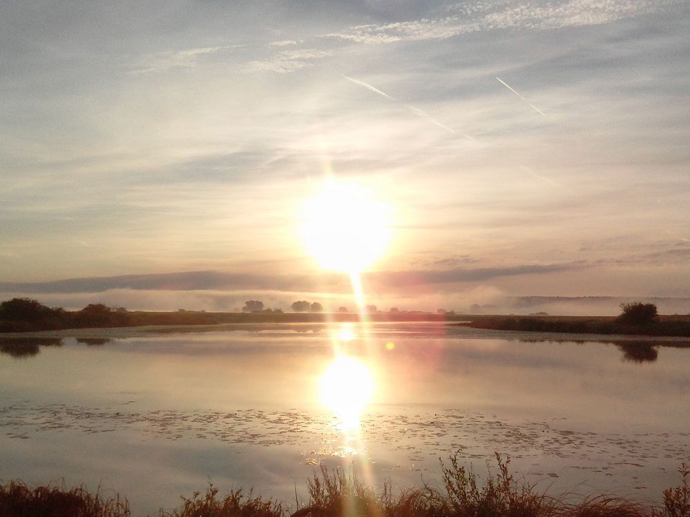 Photograph by Елена Савицкая