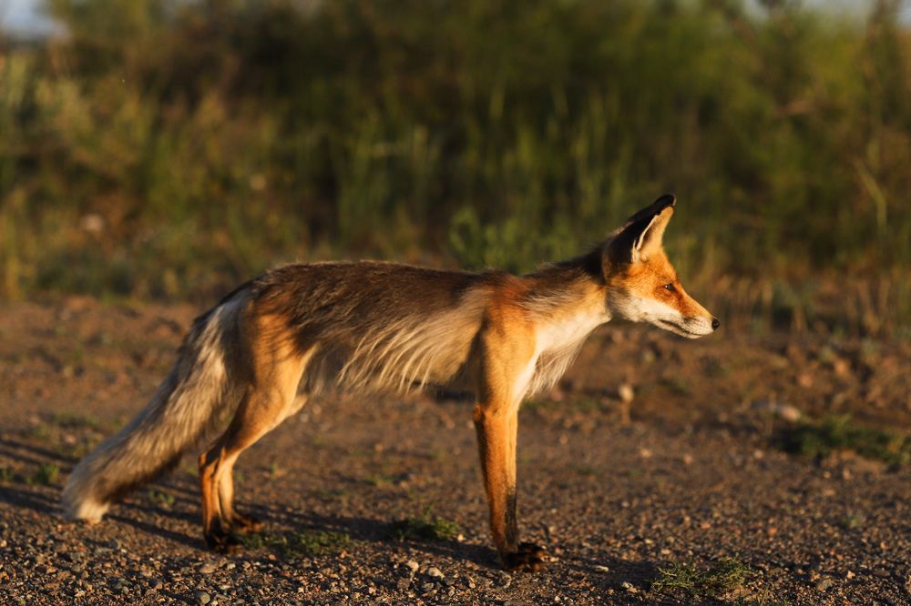 Photograph by Оксана Некрасова