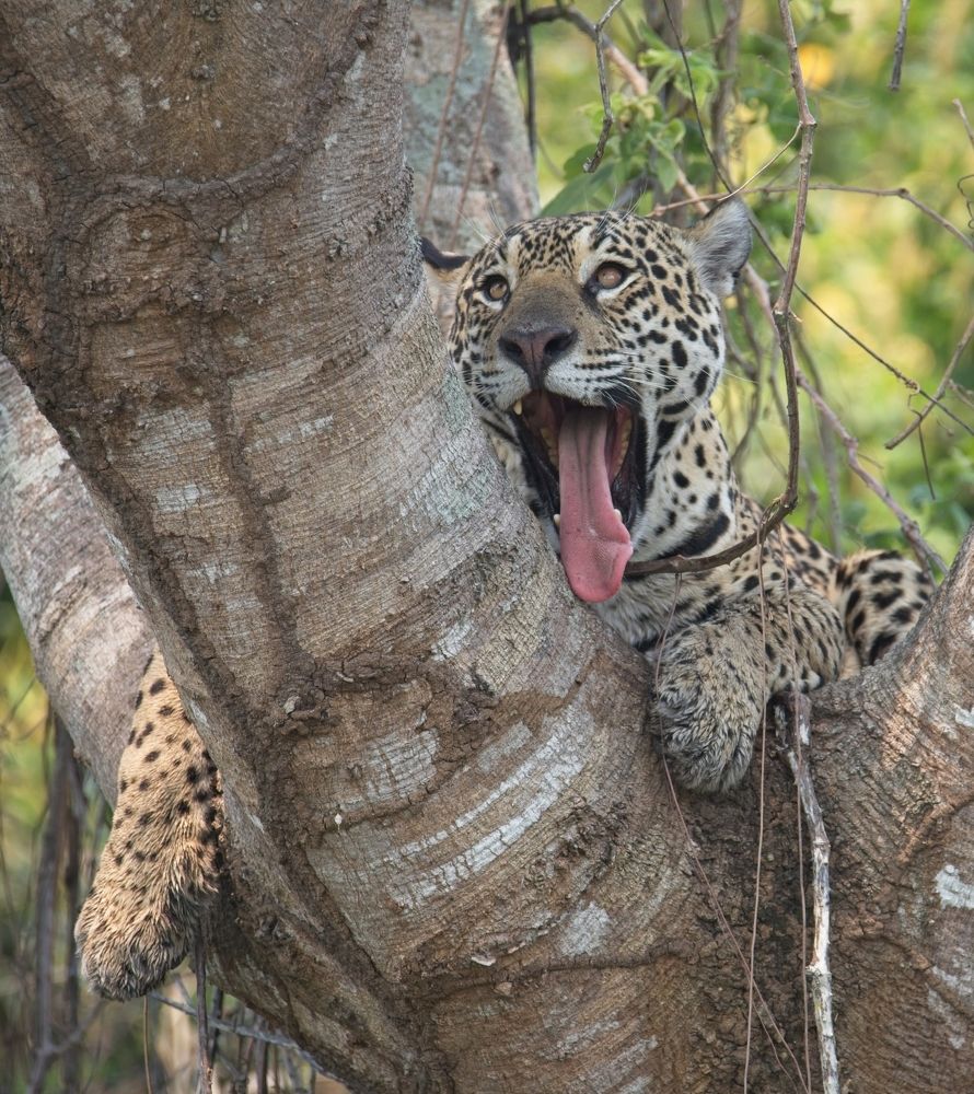 Photograph by Игорь Щербаков