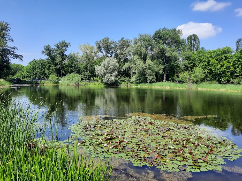 Фотография автора Елена Хализова