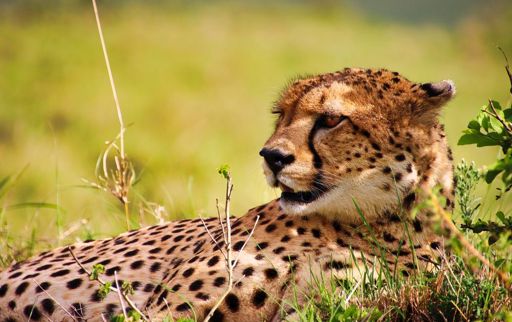 Photograph by Epp Tappel