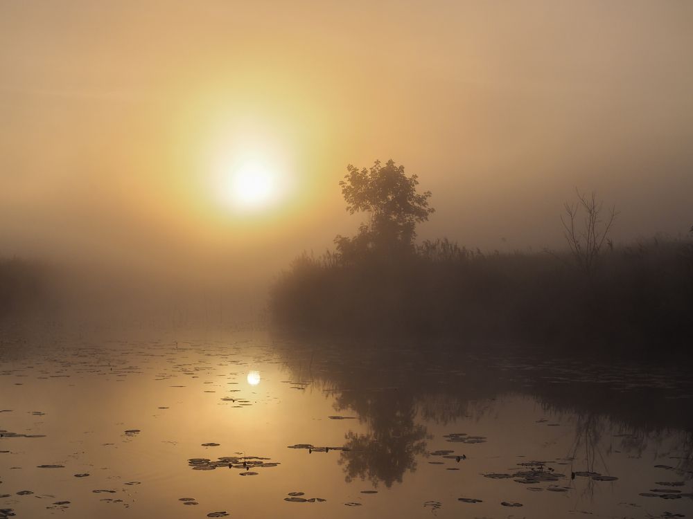 Июньский рассвет.