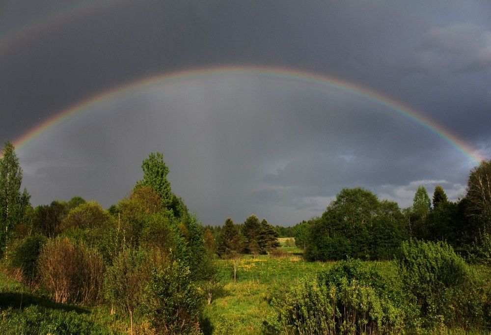Ворота в светлое будущее