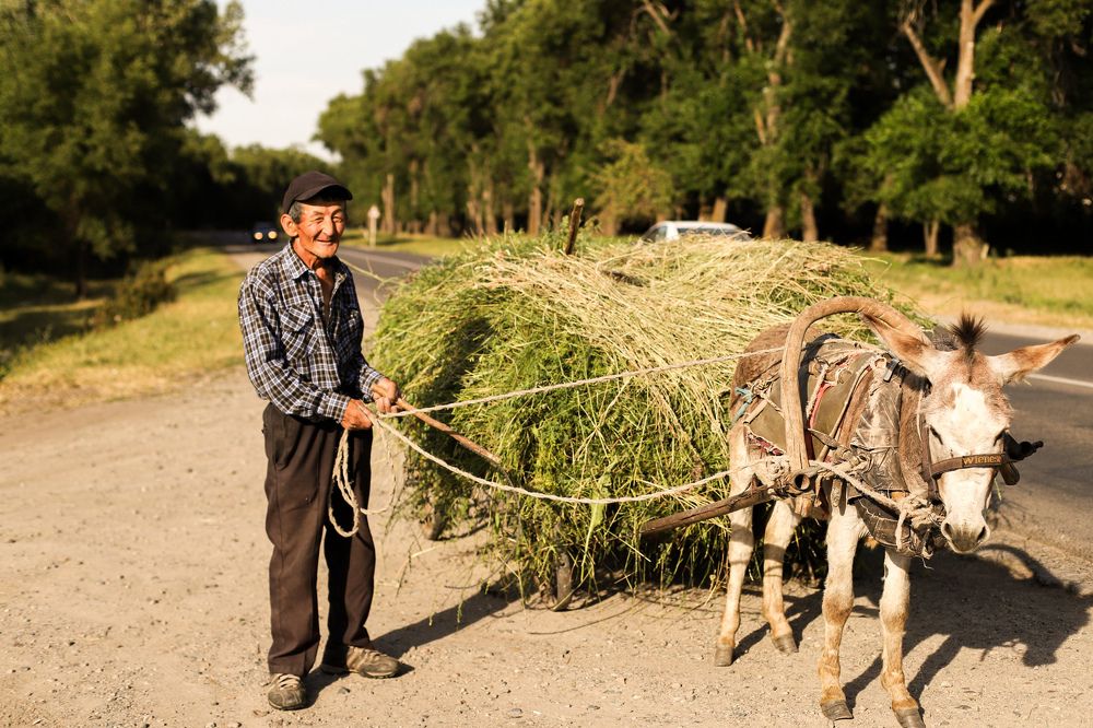Photograph by Оксана Некрасова