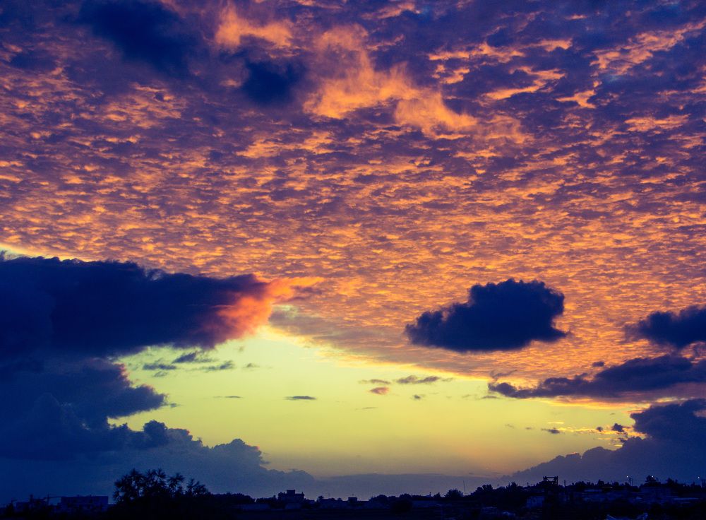 Photograph by 