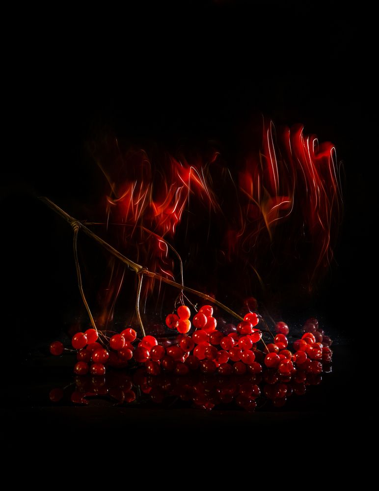 Photograph by Margarita