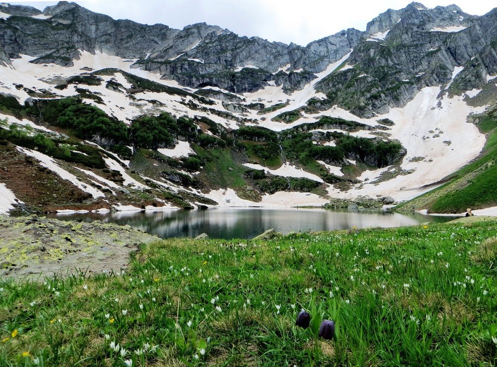 Photograph by Екатерина Салий