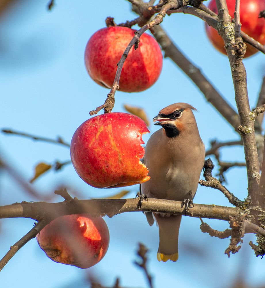 Photograph by Margarita