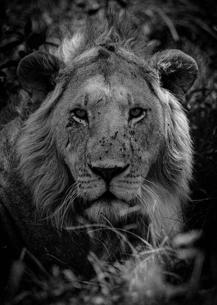 Photograph by Sergey