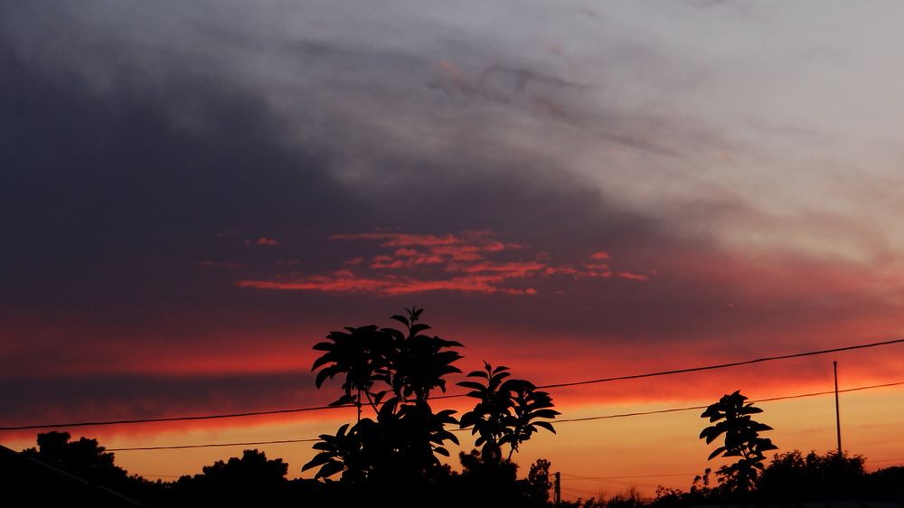 Photograph by Alijon Akbarov