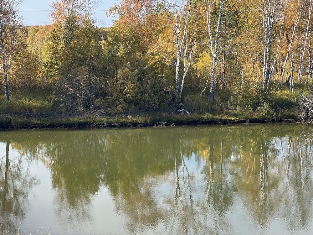 Photograph by Елена Мусина