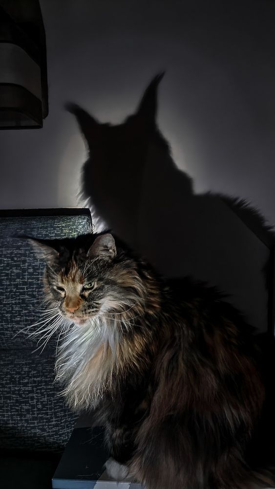 Photograph by Алёна Губинская