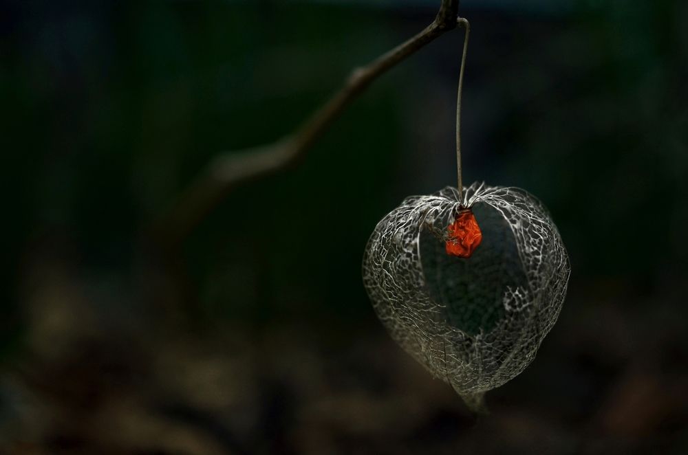 Photograph by Kveta Novotna