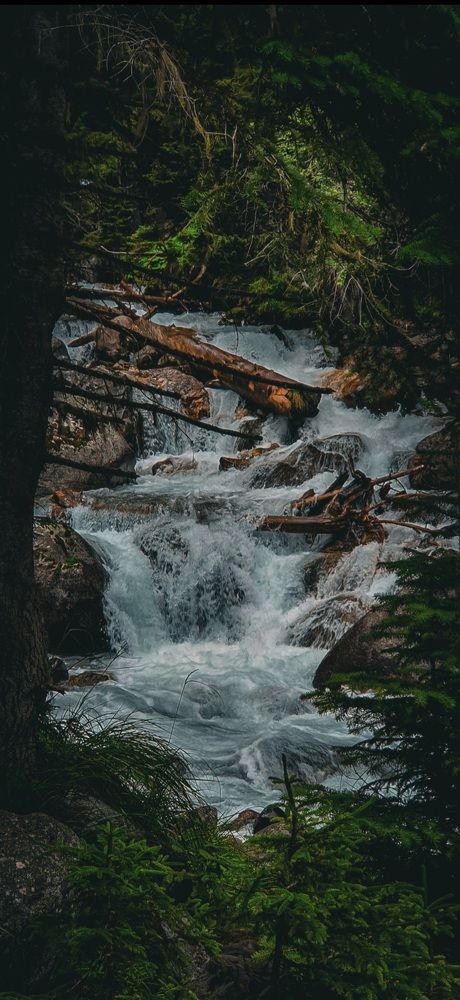 Photograph by Ольга Семчишкина