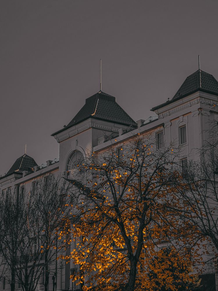Photograph by Анастасия Крылова