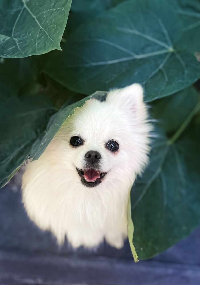 Фотография автора Маргарита