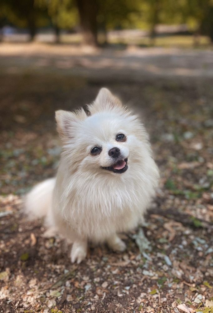 Фотография автора Маргарита