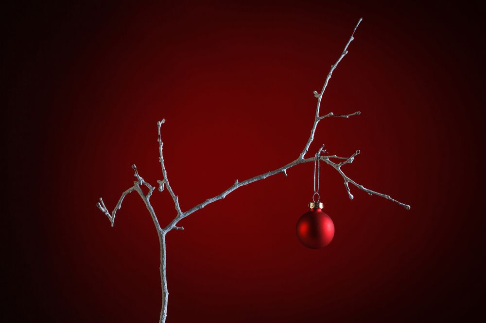 Фотография автора Refat Mamutov