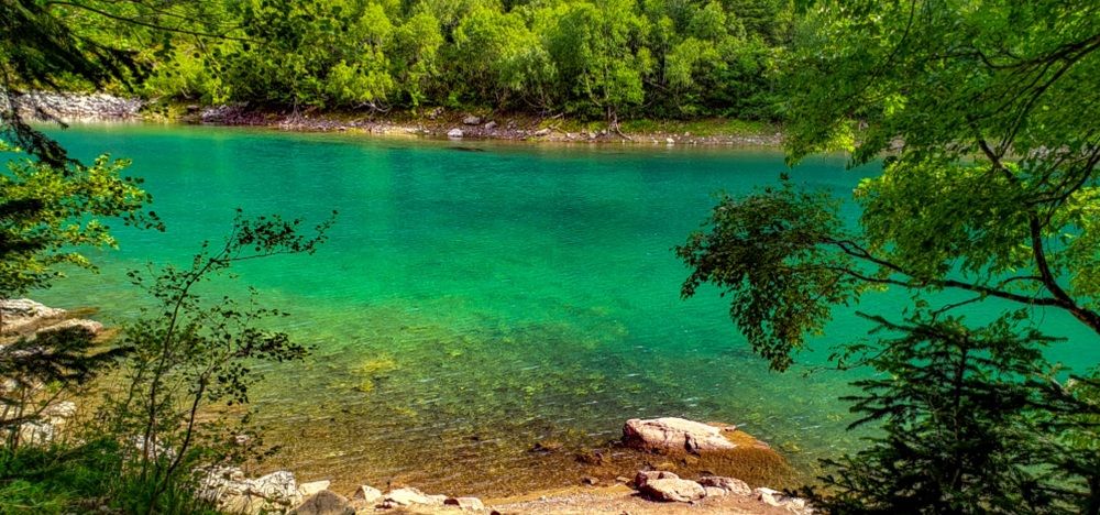 Photograph by Ольга Семчишкина