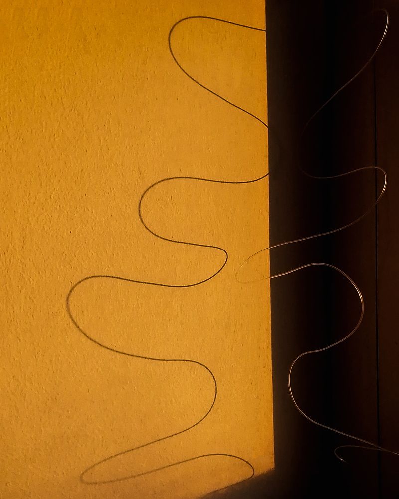 Фотография автора Мария Трасковская