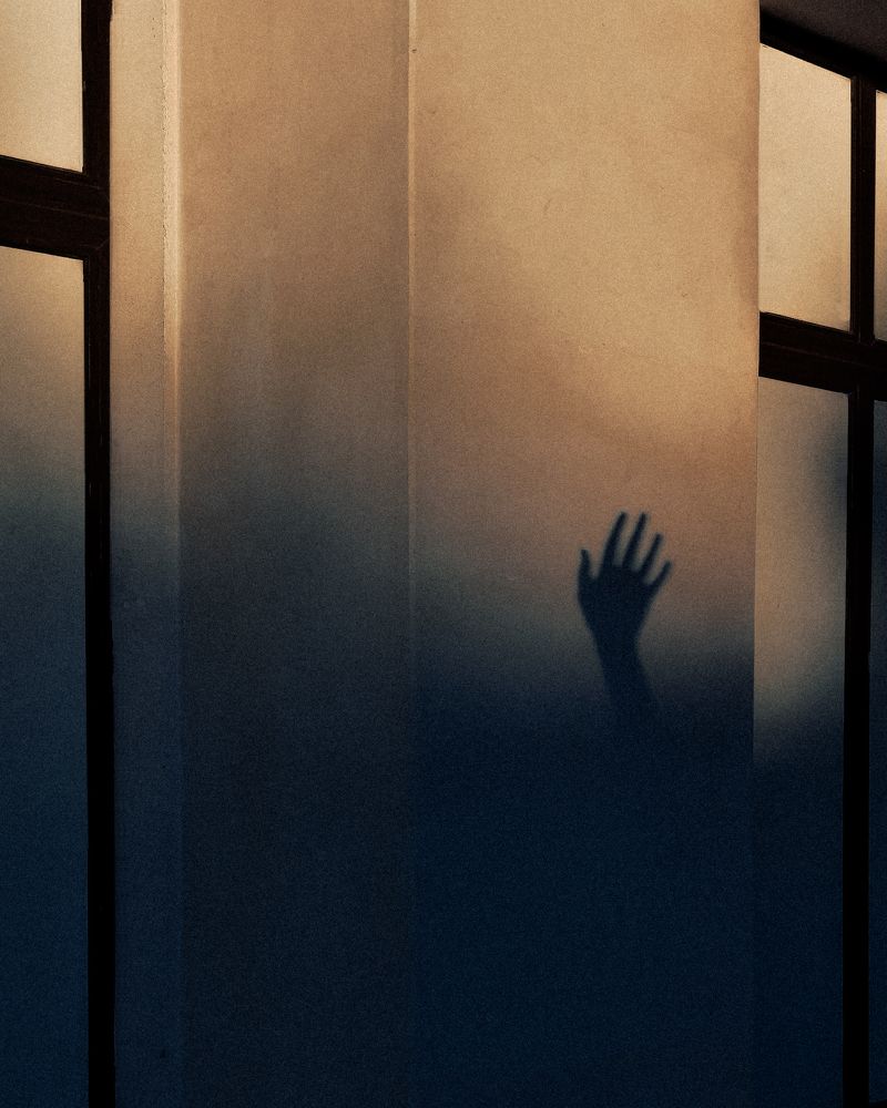 Фотография автора Мария Трасковская