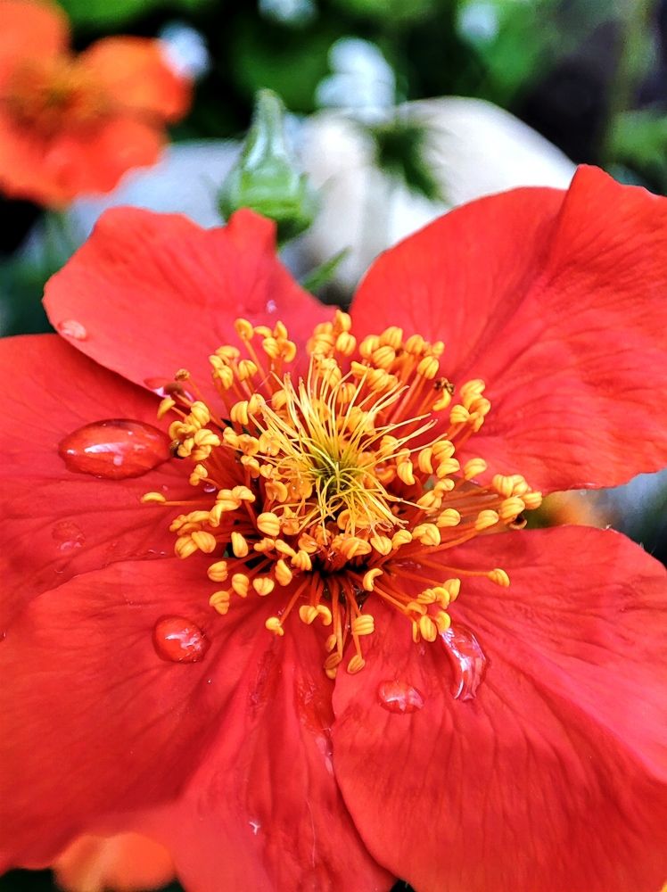 Photograph by DARIA DEMINA