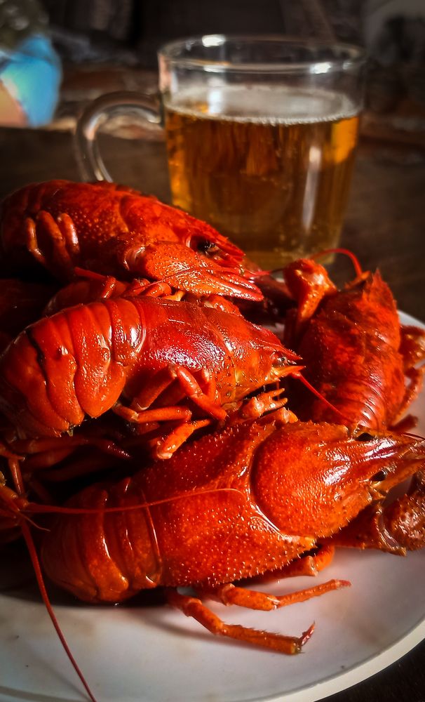 Photograph by Александр Труфанов