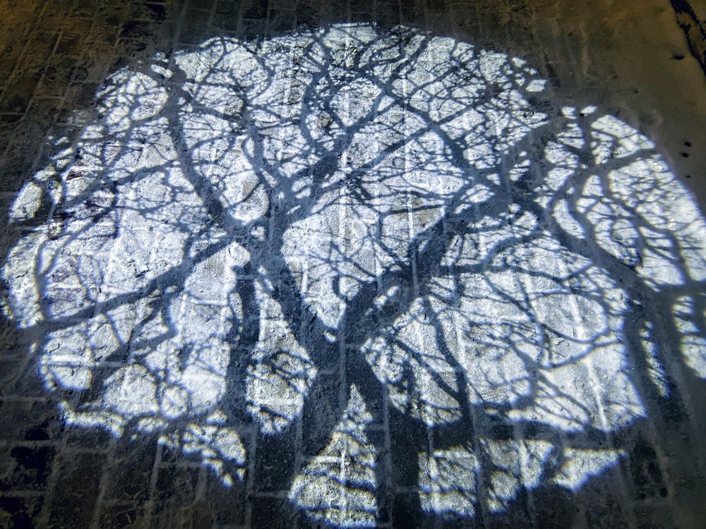 Фотография автора Татьяна Лазарева