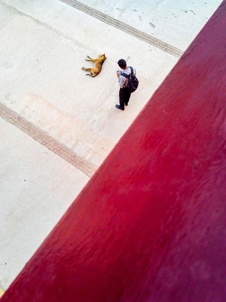 Фотография автора Laddu Sasindu Pramuditha De Silva