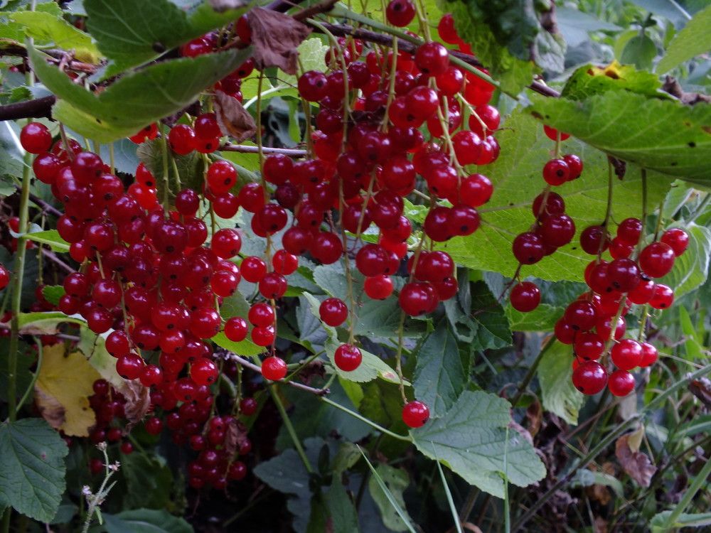 Photograph by Дмитрий Крылов