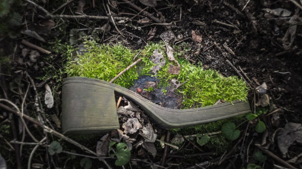 Всё проходит, и это пройдёт.